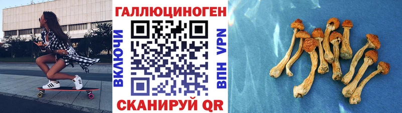 Купить закладки  Котельниково  Галлюциногенные грибы ЛСД 